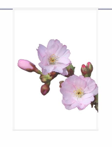 Scheibenhänger Die Blüte – rechteckig bedruckte Gardine